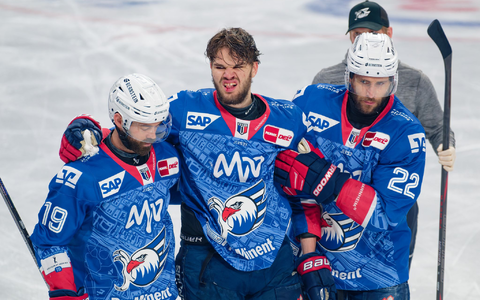 Musste angeschlagen vom Eis: Maximilian Heim - Foto: Uwe Anspach/dpa