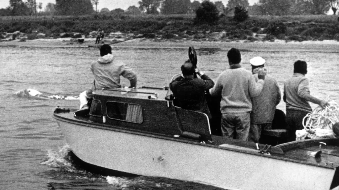 Verschiedene Boote waren tagelang auf der Spur des Wals. (Archivbild) - Bild: picture alliance / dpa
