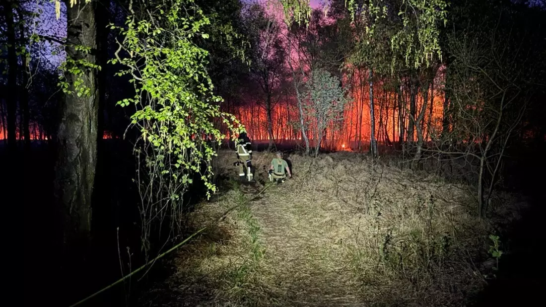 FW-SE: Einsatzkräfte bei größerem Wald- und Moorbrand gefordert - Bild: presseportal.de