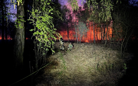 FW-SE: Einsatzkräfte bei größerem Wald- und Moorbrand gefordert - Foto: presseportal.de