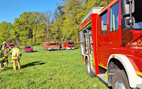 FW-Greven: Waldbrand sorgt für Großeinsatz. - Foto: presseportal.de