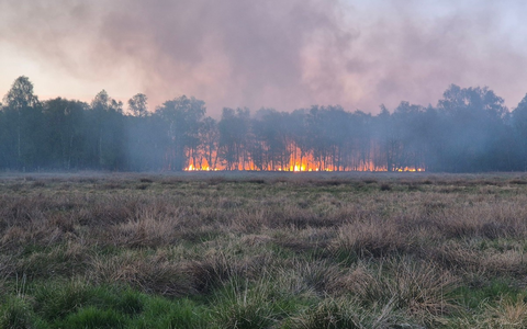 POL-SE: Henstedt-Ulzburg - Moorbrand - Kriminalpolizei hat die Ermittlungen aufgenommen - Foto: presseportal.de