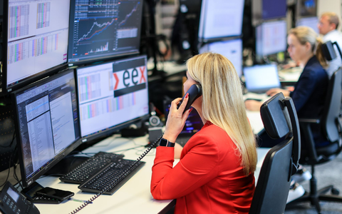 Überschuss an Wind- und Solarstrom lässt die Preise zeitweise ins Minus rutschen. (Archivbild)  - Foto: Jan Woitas/dpa