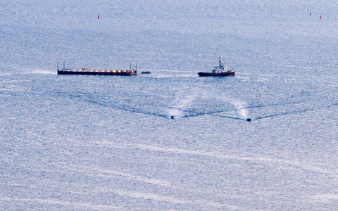 Transport mit ungewissem Ausgang: Wal wird Richtung Nordsee gebracht - Foto: Bodo Marks/dpa