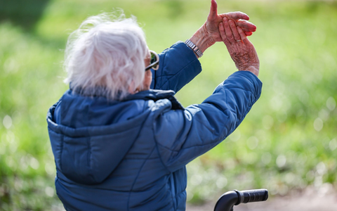 Im Juli steigen die Renten in Deutschland, hier eine Rentnerin bei einer Yogastunde. (Archivbild) - Foto: Jan Woitas/dpa