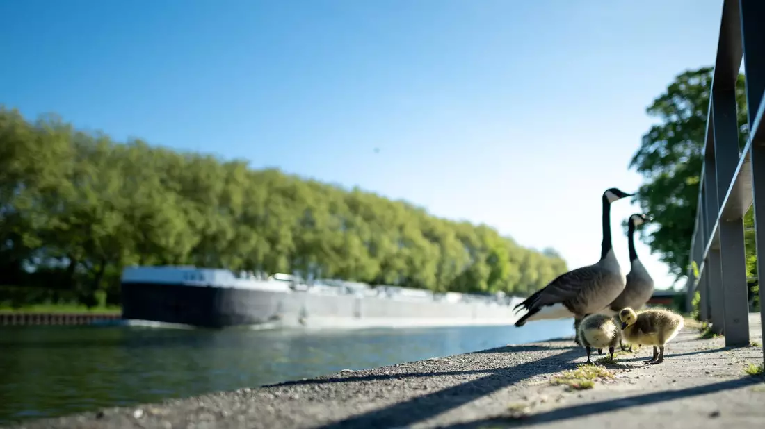 Viel Sonne und Temperaturen über 20 Grad sind in den nächsten Tagen zu erwarten.  - Bild: Fabian Strauch/dpa