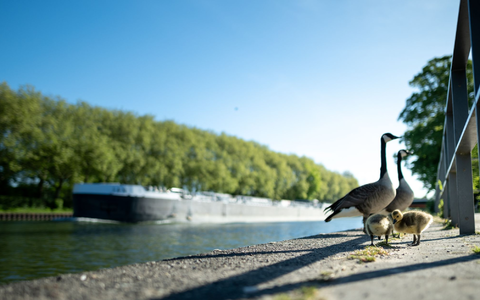 Viel Sonne und Temperaturen über 20 Grad sind in den nächsten Tagen zu erwarten.  - Foto: Fabian Strauch/dpa