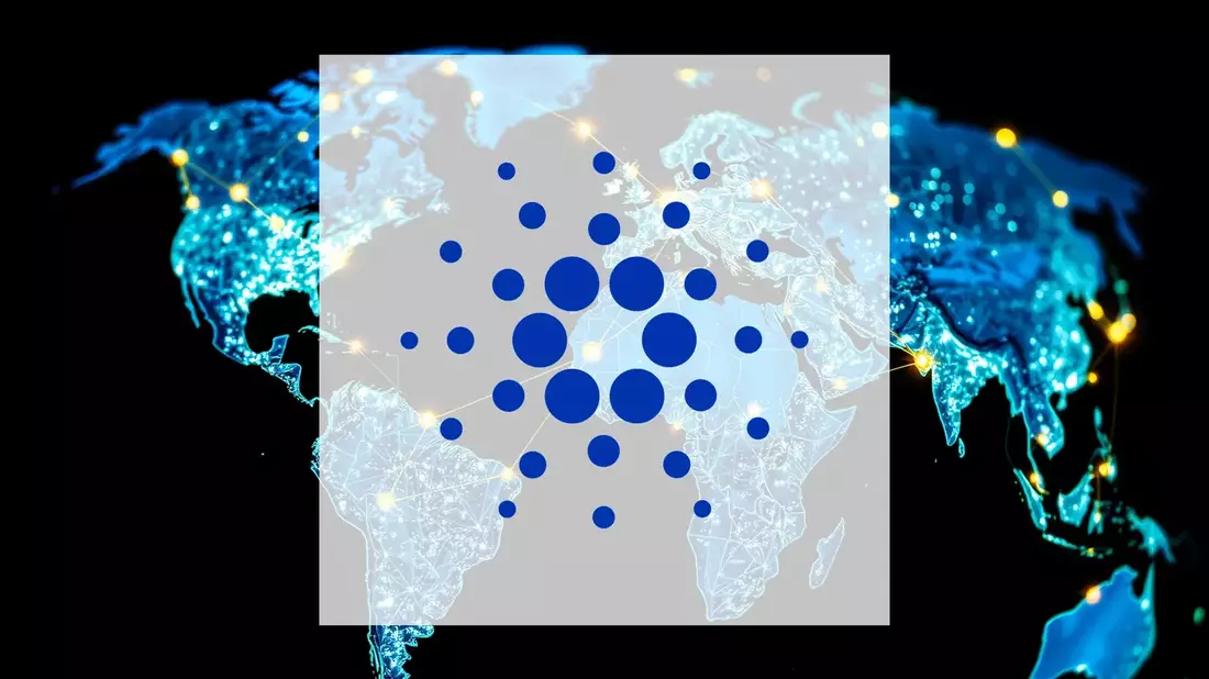 Cardano's Wale Hunt: $214 Million in Accumulation as Network Readies Two Major Upgrades - Bild: über boerse-global.de