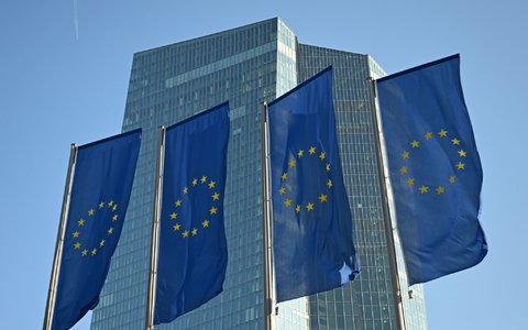 Wie wird die EZB entscheiden? (Archivfoto) - Foto: Michael Brandt/dpa