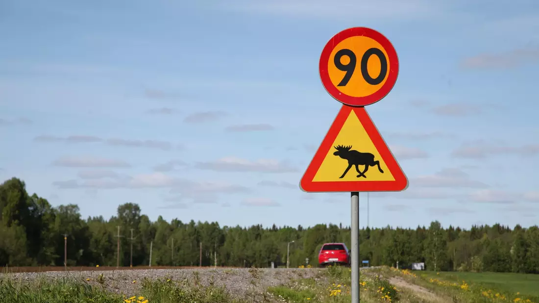 Ein Straßenschild warnt im Norden von Schweden vor Elchen. (Illustration) - Bild: Steffen Trumpf/dpa