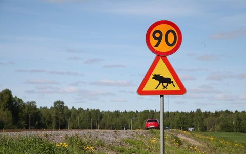 Ein Straßenschild warnt im Norden von Schweden vor Elchen. (Illustration) - Foto: Steffen Trumpf/dpa