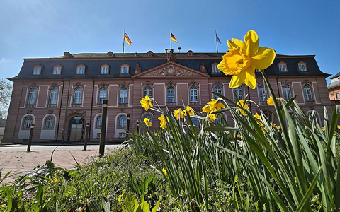 Landtag von Rheinland-Pfalz (Archiv) - Foto: via dts Nachrichtenagentur