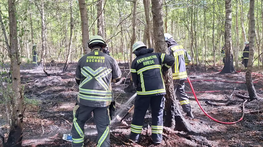 FW Bocholt: Waldbrand in Bocholt - Barlo - Bild: presseportal.de