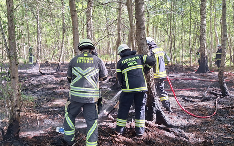 FW Bocholt: Waldbrand in Bocholt - Barlo - Foto: presseportal.de