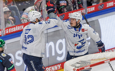 Die Adler Mannheim werden für einen bravourösen Kampf gegen Berlin belohnt - Foto: Andreas Gora/dpa