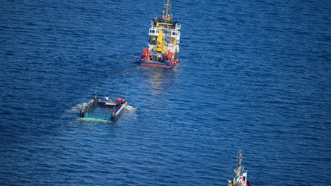 Das Transportschiff mit dem Wal ist seit mehreren Tagen unterwegs. - Bild: Christoph Reichwein/dpa