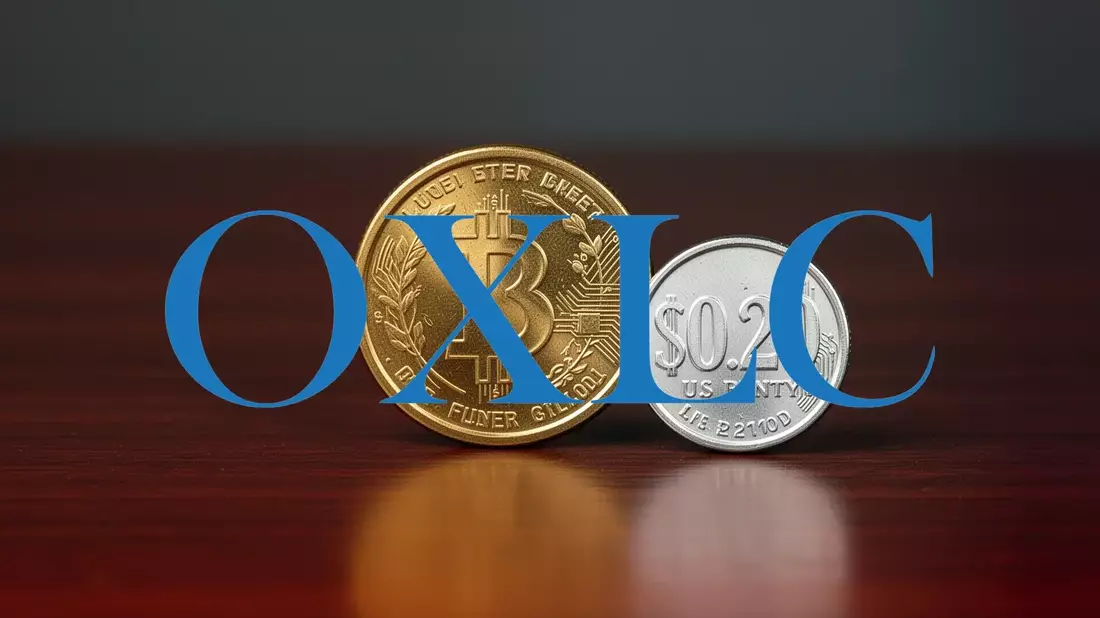 Oxford Lane Capital: Dividende auf $0,20 ab April - Bild: über boerse-global.de
