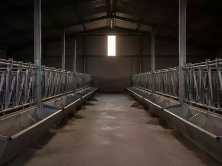ForFarmers: Kein Nachrichten-Treiber - Foto: über boerse-global.de