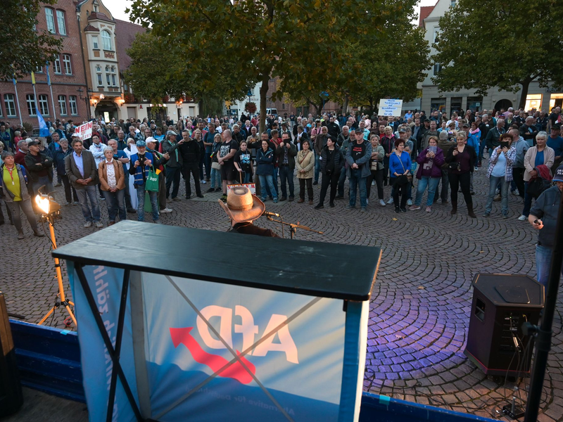 Die Rechtspopulisten sind seit Jahren an vielen Orten regelmäßig vertreten - nicht nur mit Infoständen, sondern auch bei Demonstrationen und Bürgerdialogen. (Archivbild) - Foto: Heiko Rebsch/dpa