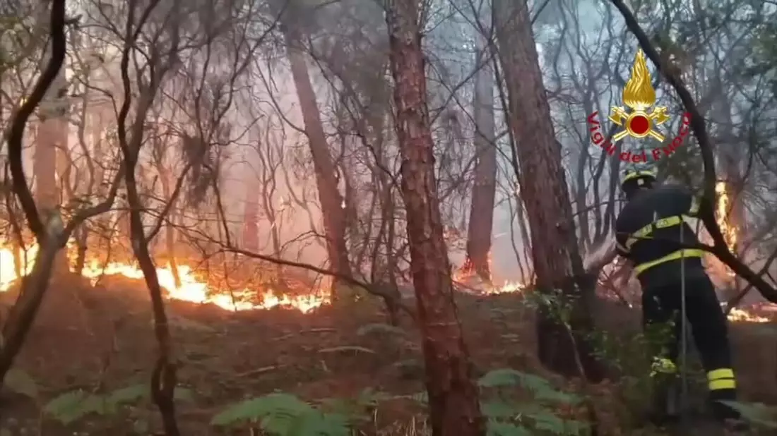 Wegen des Waldbrands haben mehr als 3.500 Menschen ihre Häuser verlassen müssen. - Bild: -/Vigili del Fuoco/dpa