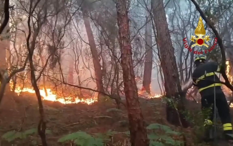 Wegen des Waldbrands haben mehr als 3.500 Menschen ihre Häuser verlassen müssen. - Foto: -/Vigili del Fuoco/dpa
