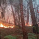 Wegen des Waldbrands haben mehr als 3.500 Menschen ihre Häuser verlassen müssen. - Foto: -/Vigili del Fuoco/dpa