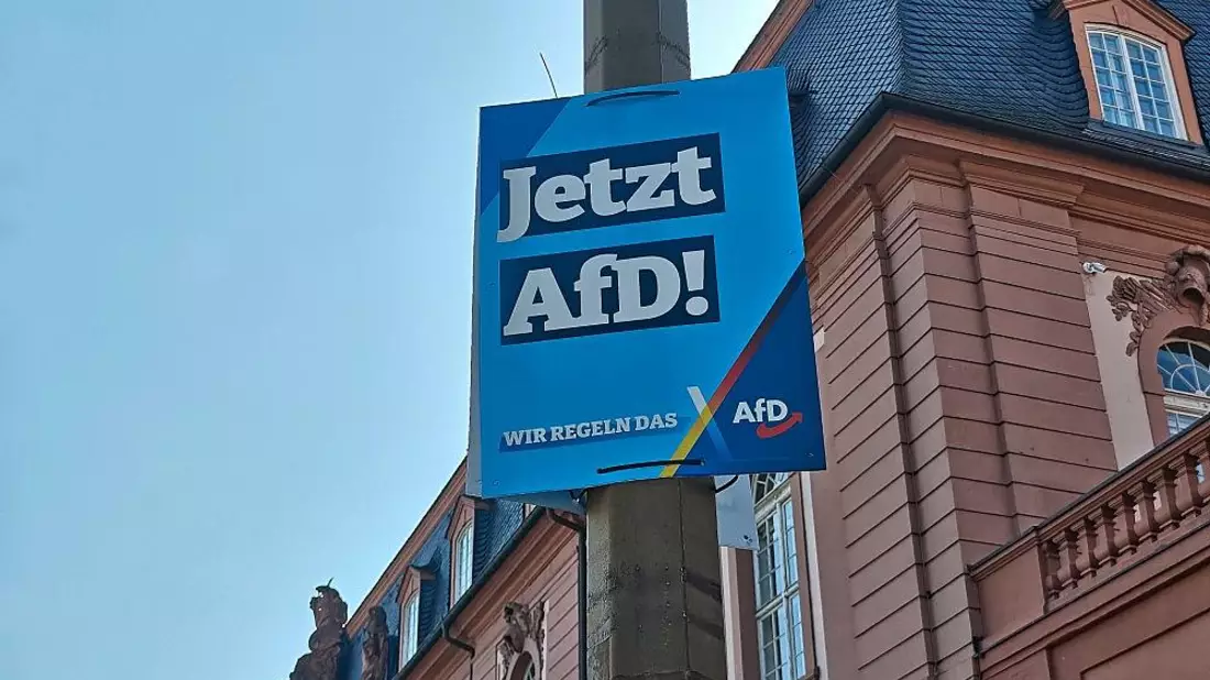 AfD-Plakat (Archiv) - Bild: via dts Nachrichtenagentur