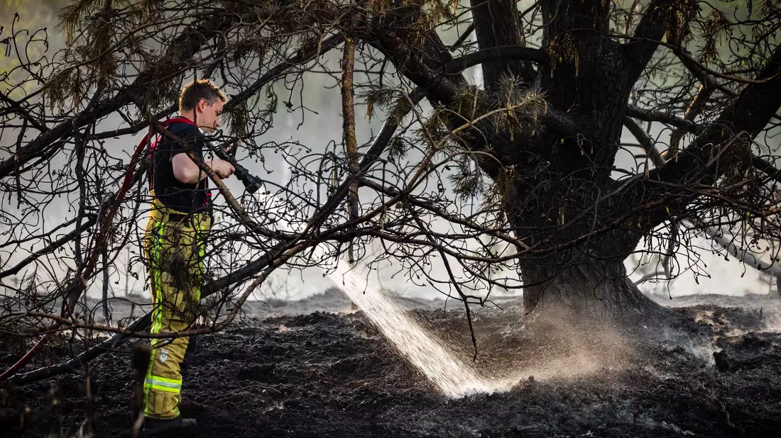 Zur Bekämpfung der Flammen baten die Niederlande nach Angaben der Behörden zum ersten Mal auch andere Länder um Hilfe. - Bild: Rob Engelaar/ANP/dpa
