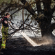 Zur Bekämpfung der Flammen baten die Niederlande nach Angaben der Behörden zum ersten Mal auch andere Länder um Hilfe. - Foto: Rob Engelaar/ANP/dpa