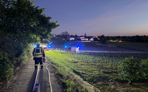 FW Weinheim: Feuer im Weinberg - Weinheimer Feuerwehr stoppt Flammen im Abendrot - Foto: presseportal.de