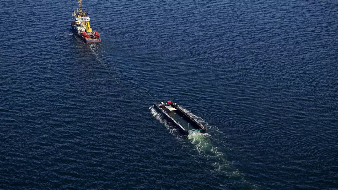 Das Transportschiff mit dem Wal ist seit mehreren Tagen unterwegs. - Bild: Christoph Reichwein/dpa