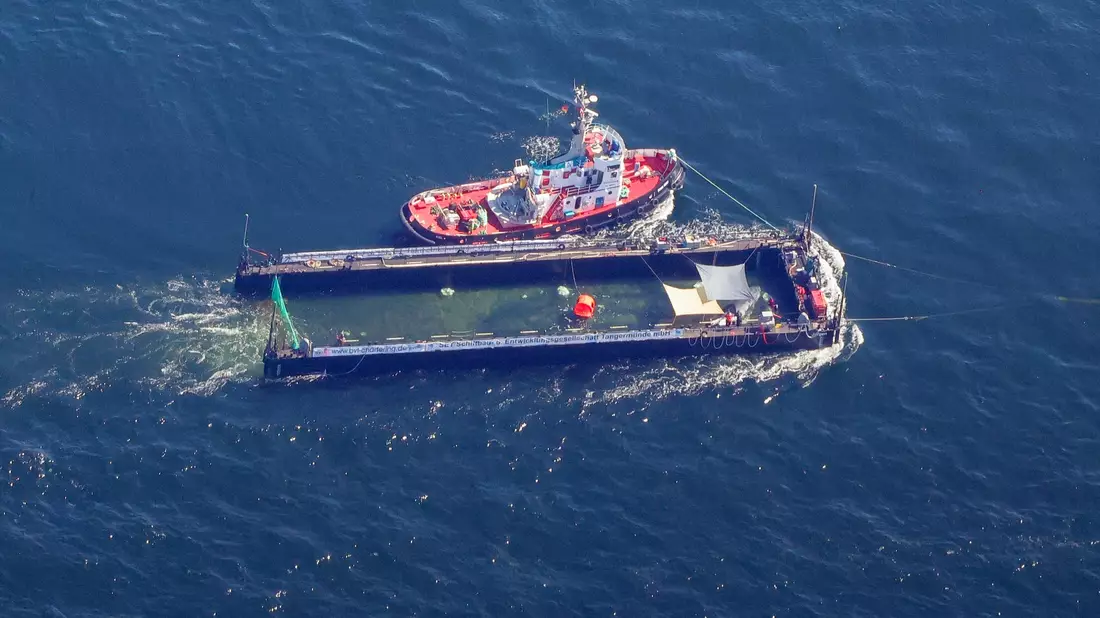 Das Transportschiff mit dem Wal ist seit mehreren Tagen unterwegs. - Bild: Christoph Reichwein/dpa