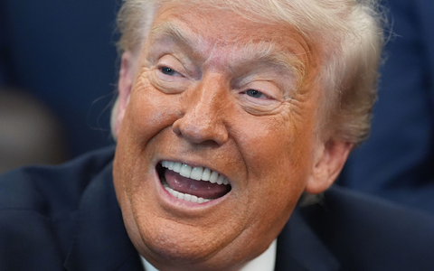 Trump kündigt eine Zollerhöhung für die EU an.  - Foto: Alex Brandon/AP/dpa