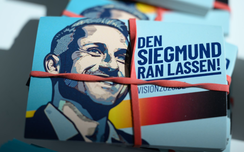 Werbematerial mit AfD-Spitzenkandidat Ulrich Siegmund ist reichlich vorhanden. (Archivbild) - Foto: Hendrik Schmidt/dpa