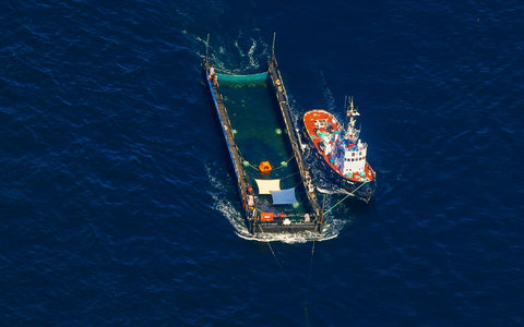 Das Transportschiff mit dem Wal ist seit mehreren Tagen unterwegs. - Foto: Christoph Reichwein/dpa