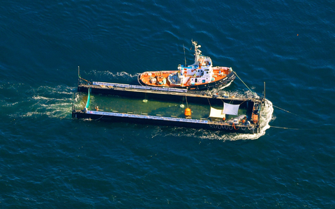 Der Buckelwal wurde in einer sogenannten Barge transportiert.  - Foto: Christoph Reichwein/dpa