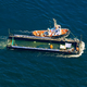 Der Buckelwal wurde in einer sogenannten Barge transportiert.  - Foto: Christoph Reichwein/dpa