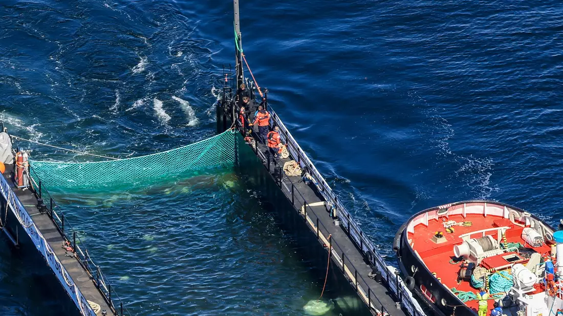 Bei der Barge handelt es sich um einen Lastkahn. - Bild: Christoph Reichwein/dpa