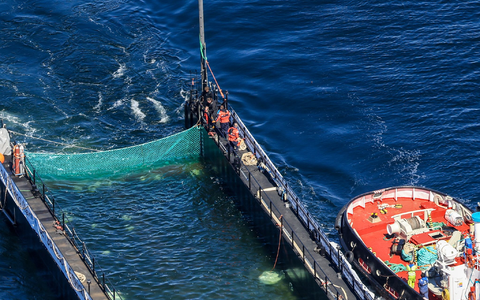 Bei der Barge handelt es sich um einen Lastkahn. - Foto: Christoph Reichwein/dpa