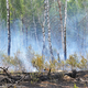 Der Waldbrand auf dem mit Kampfmitteln belasteten Gelände bei Jüterbog ist der bislang größte Waldbrand in dieser Saison in Brandenburg. - Foto: Michael Bahlo/dpa