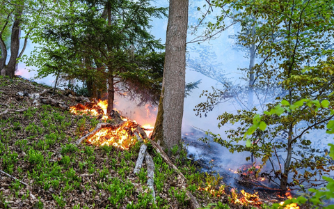 In Werdohl näherten sich die Flammen einer Wohnsiedlung, konnten aber gestoppt werden. - Foto: Alex Talash/dpa
