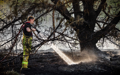 Bei der Brandbekämpfung in den Niederlanden kamen Feuerwehrleute aus mehreren Ländern zum Einsatz. - Foto: Rob Engelaar/ANP/dpa