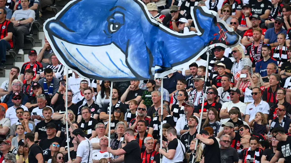 Die Geschichte des Wals wurde von vielen Menschen verfolgt. - Bild: Florian Wiegand/dpa