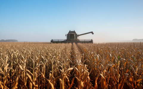 WisdomTree Grains: Mais-Ethanol auf 474 Millionen Scheffel - Foto: über boerse-global.de