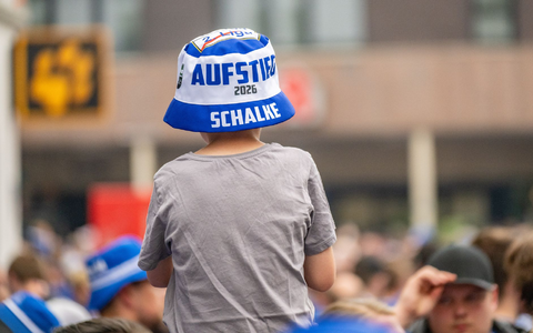 Schalke 04 ist nach drei Jahren zurück in der Fußball-Bundesliga. - Foto: Benjamin Westhoff/dpa