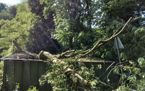 FW Weinheim: Baum stürzt teilweise auf Hütte und blckierte den Weg - Foto: presseportal.de