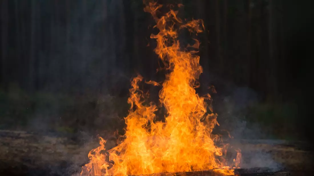 Noch ist unklar, wie das explosive Material in die Feuerstelle kam. (Symbolbild) - Bild: picture alliance / Klaus-Dietmar Gabbert/ZB