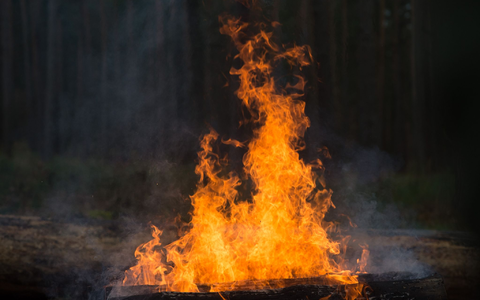 Noch ist unklar, wie das explosive Material in die Feuerstelle kam. (Symbolbild) - Foto: picture alliance / Klaus-Dietmar Gabbert/ZB