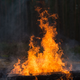 Noch ist unklar, wie das explosive Material in die Feuerstelle kam. (Symbolbild) - Foto: picture alliance / Klaus-Dietmar Gabbert/ZB
