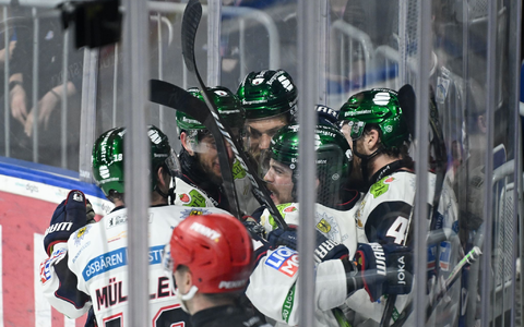 Die Eisbären jubeln über den zwölften Titel in der DEL. - Foto: Florian Wiegand/dpa